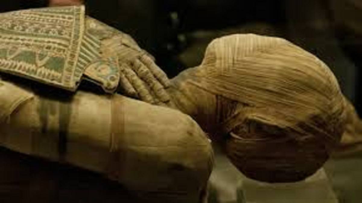 manual de mumificare