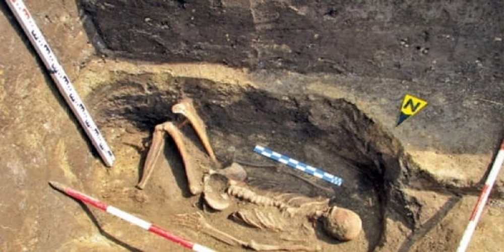schelet de urias descoperit in Romania