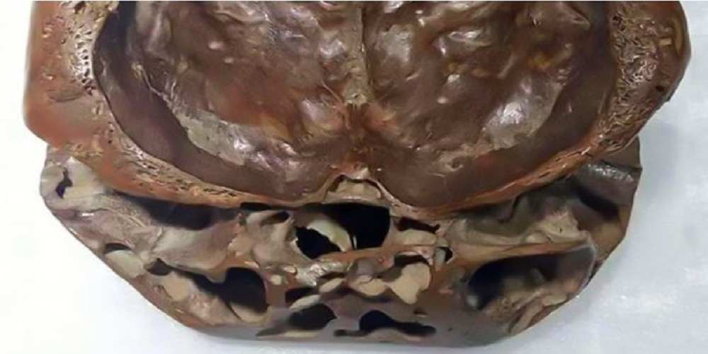 descoperit craniul real al unui extraterestru