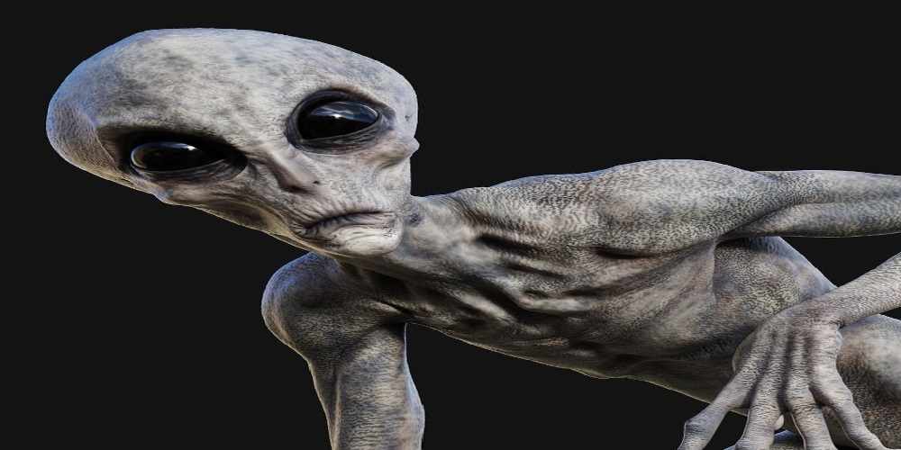 extraterestri gri provin din oamenii rapiti
