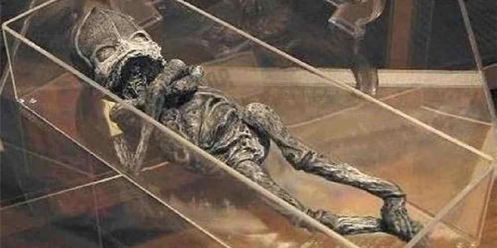 descoperit un extraterestru mumificat in Rusia