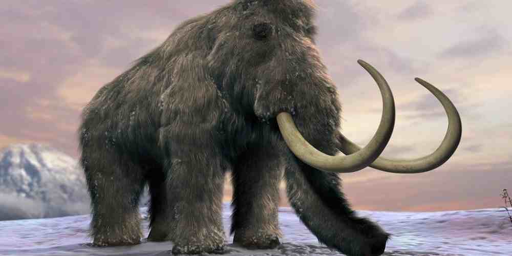 oamenii de stiinta vor reinvia mamut lanos