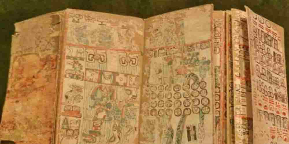 documente maya